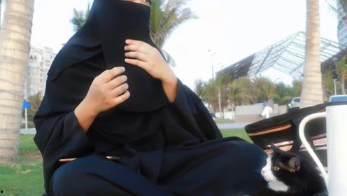 娱乐吃瓜君镜头